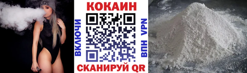 ссылка на мегу зеркало  Шелехов  Cocaine Fish Scale  наркошоп 