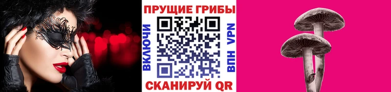 Псилоцибиновые грибы прущие грибы  Шелехов 